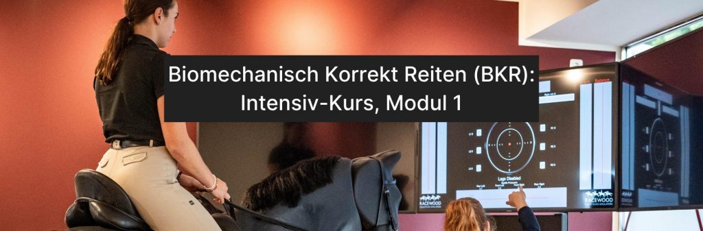 Biomechanisch korrekt reiten, BKR, Intensivkurs mit Reitsimulator