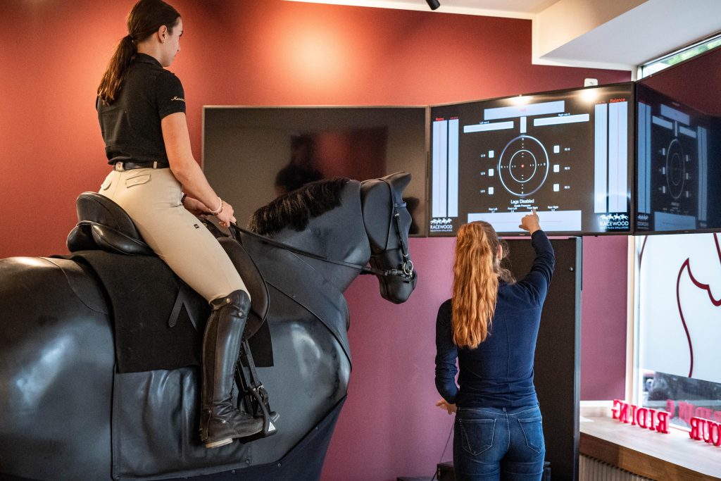 Gemeinsame Analyse und Besprechung der Reitsimulator Sitzanalyse Auswertung