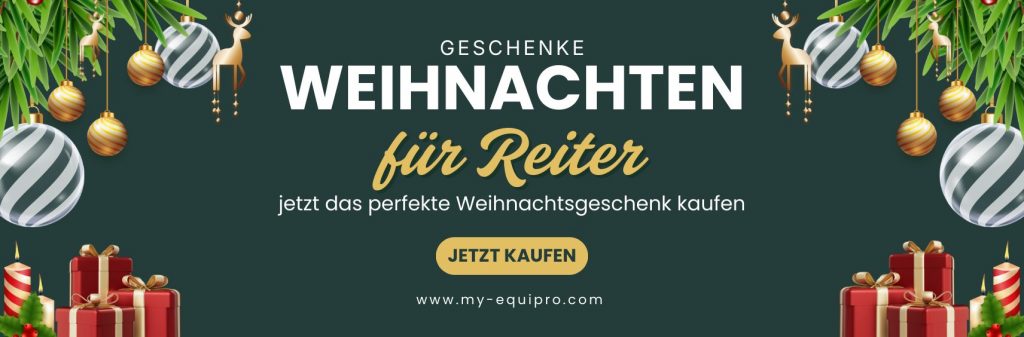 Weihnachtsgeschenk für Reiter
