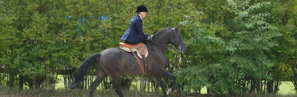 Reiten im Damensattel mit Reitsimulator Training