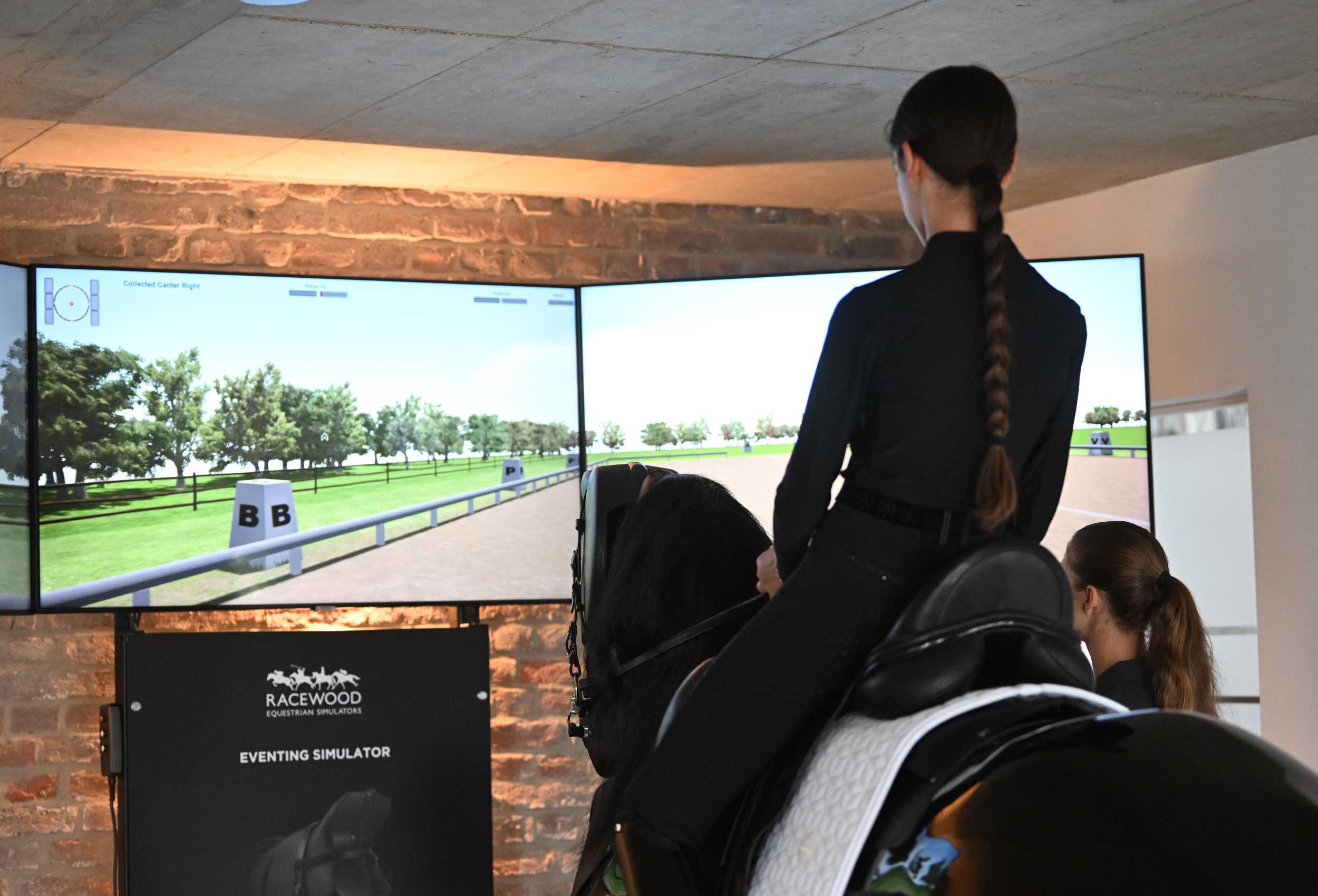 Dressurreiten auf dem Reitsimulator von equipro
