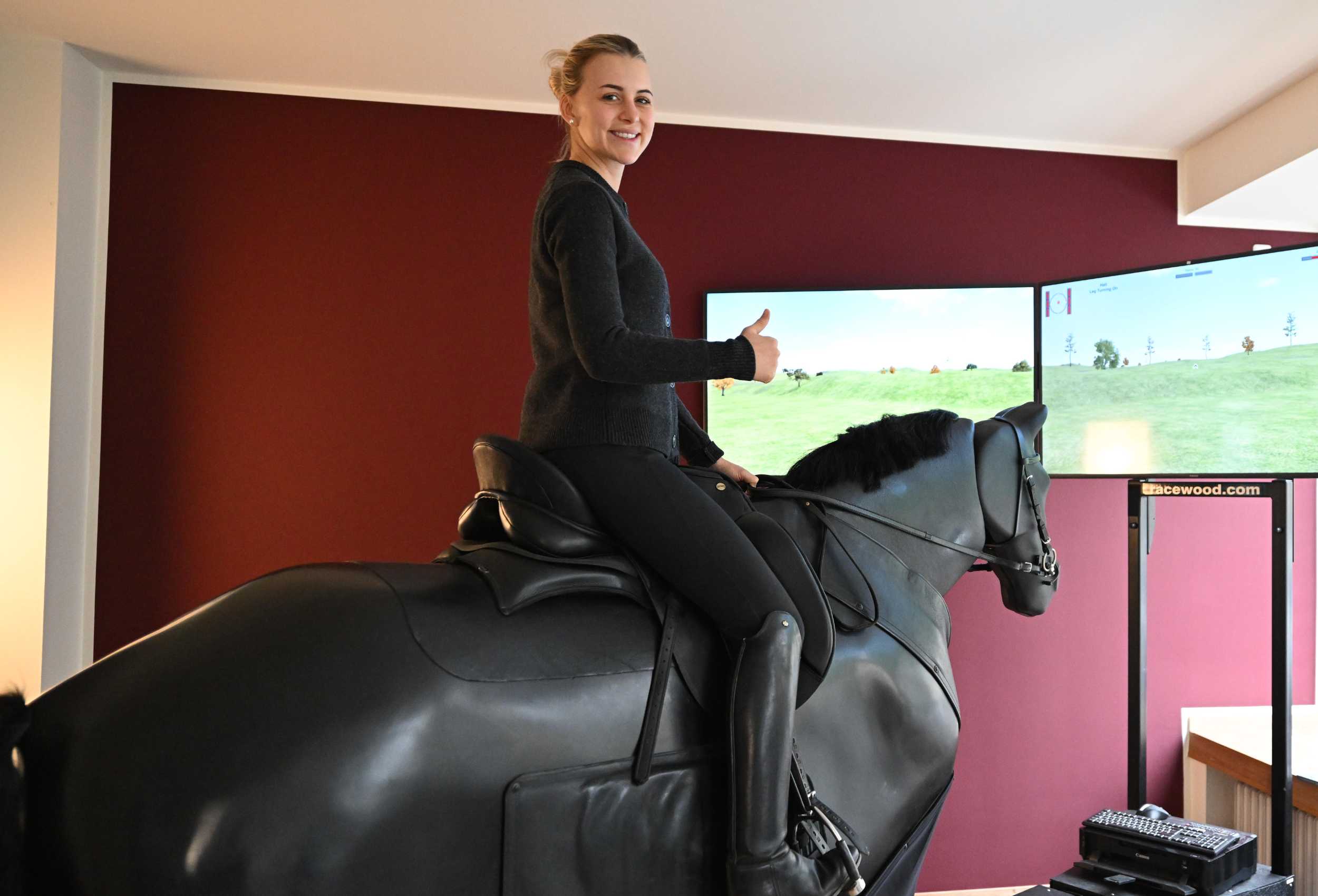 Reitsimulator Training bei equipro