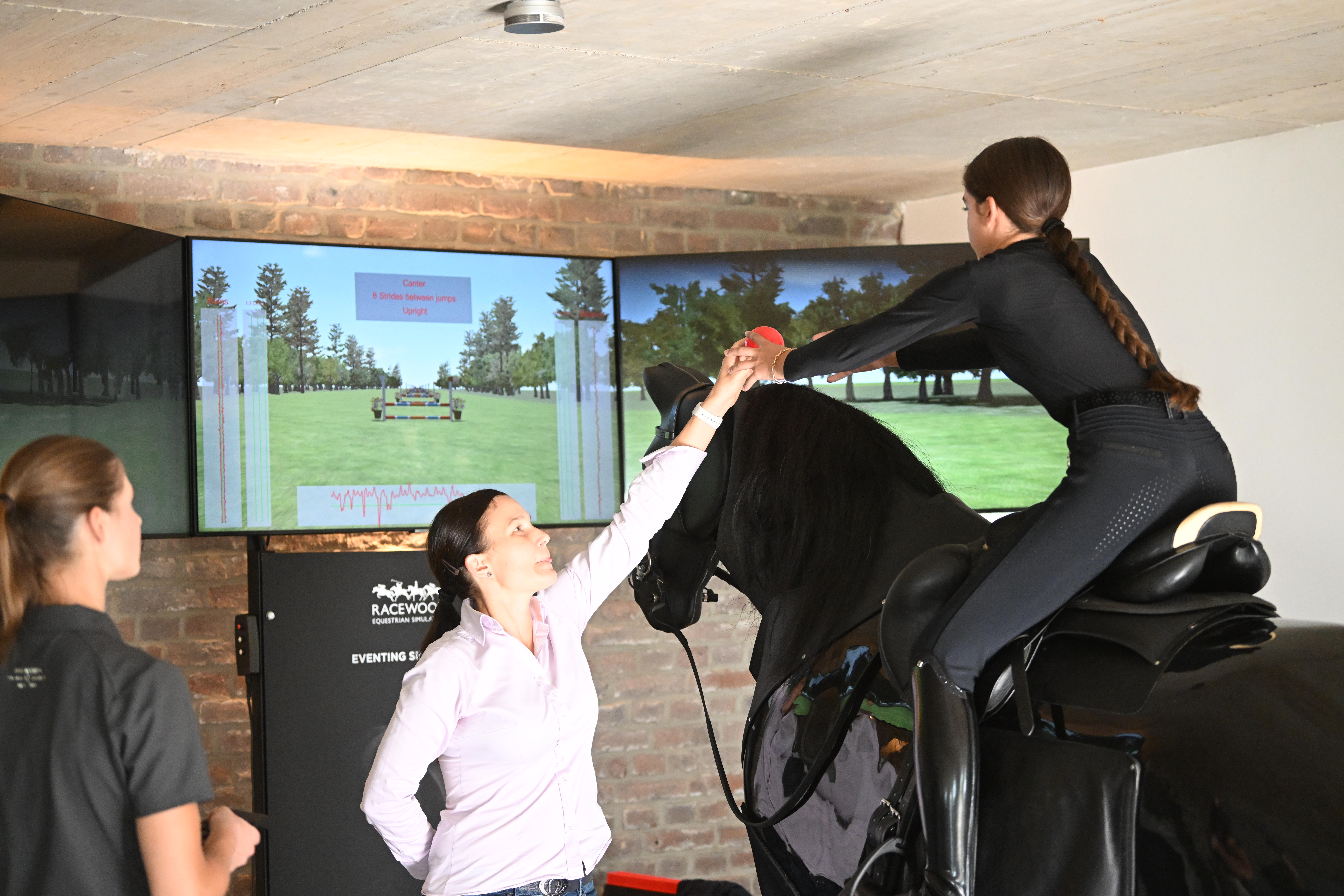 Reitsimulator Springtraining