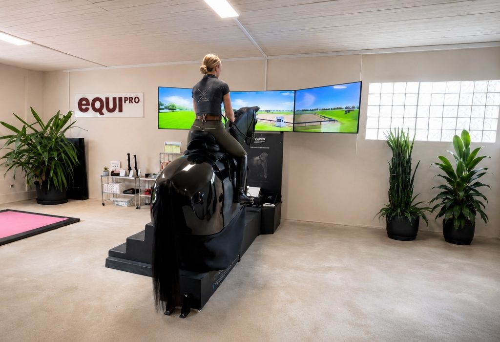 Dressurreiten auf dem Reitsimulator Nürnberg